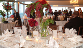 VENDOR & SPECIALTY INSURANCE weddings